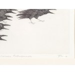 Paul Flora, Glurns 1922 - 2009 Innsbruck, sfilata di corvi prussiani