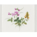 7 kleine Schalen mit floralen Motiven, Meissen
