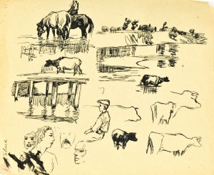 Ludwik MACIĄG (1920-2007), schizzi sciolti di figure, bambini, cavalli all'abbeveratoio, mucche