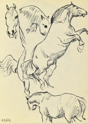 Ludwik MACIĄG (1920-2007), Croquis de chevaux