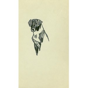 Ludwik MACIĄG (1920-2007), Sketch of a dog