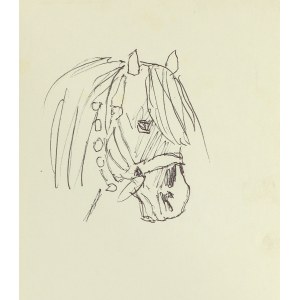 Ludwik MACIĄG (1920-2007), Head of a Horse