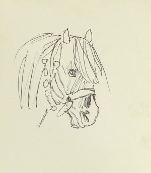 Ludwik MACIĄG (1920-2007), Tête de cheval