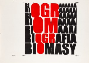 The TWO-YEAR Group, Biography of Biomass, 2007