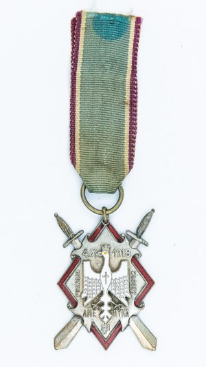 Haller swords commemorative badge, version with inscription America