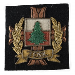 3DSK commemorative patch