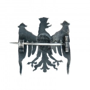 Patriotischer Adler