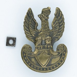 Eagle on a beret/furguard