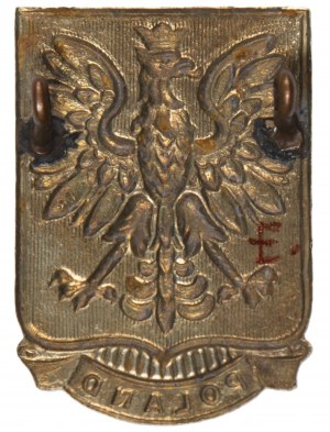 Orzeł/emblemat z napisem POLAND