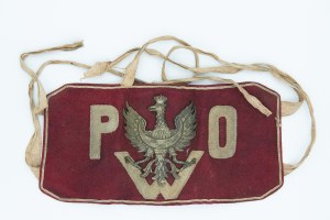 Bandeau avec aigle et lettres POW/PWO ( ?)