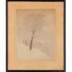 Leon Wyczółkowski (1852 Huta Miastkowska - 1936 Warsaw), Frosted Tree, 1929