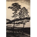 Wilk (Wilhelm) Ossecki (1892 Brody - 1958 Warsaw), Four woodcuts from Teki Wileńska, ca. 1924