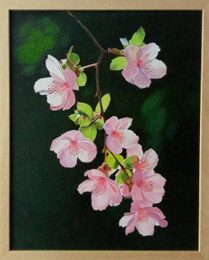 Zbigniew Markiewicz, Cherry Blossom