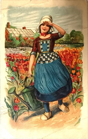 Vintage pohlednice, USA, 1909