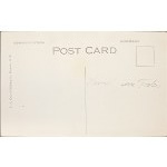 Cartolina postale pasquale d'epoca, Stati Uniti, inizio XX secolo.