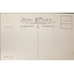 Cartolina postale pasquale d'epoca, Stati Uniti, inizio XX secolo.
