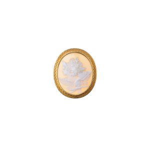 GOLD SHELL CAMEO BROOCH | Europe (European / Europe - around 1890)