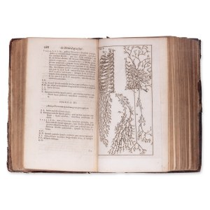 BLANKAART, Steven (1650-1704): Anatomia reformata