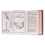 HEISTER, Laurent: Compendium Anatomicum