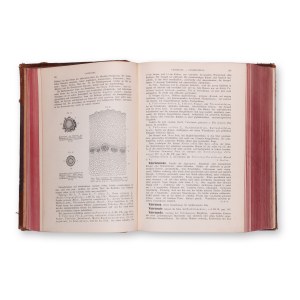 GEISSLER, Ewald, MOELLER, Josef: Möller, Josef: Real-Encyclopadie der gesammten Pharmacie. Vol. X.