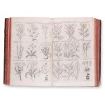 MORISON, Roberto (1620-1683) : Plantarum Historiae Universalis. Vol. I.