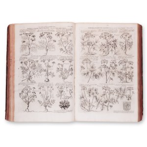 MORISON, Roberto (1620-1683): Plantarum Historiae Universalis. Svazek II.