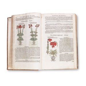 GERARD, John (1545-1612): The Herball or Generall Historie of Plantes (Herball czyli ogólna historia roślin)