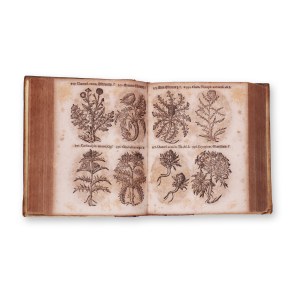 PANCOVIUS, Thomas (1622-1665): Herbarium