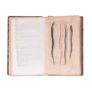 LA CEPEDE, M. (1756-1825): Comprenant l'histoire naturelle. Bd. V.