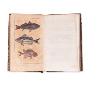 LA CEPEDE, M. (1756-1825): Comprenant l'histoire naturelle. Bd. X.