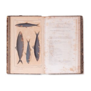 LA CEPEDE, M. (1756-1825): Comprenant l'histoire naturelle. Zväzok XII.