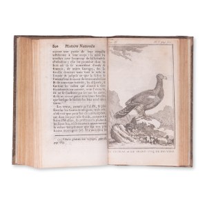 BUFFON, Georges Louis Leclerc (1707-1788) : Histoire naturelle des oiseaux. Vol. III.