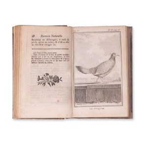 BUFFON, Georges Louis Leclerc (1707-1788): Histoire naturelle des oiseaux. Vol. IV.