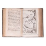 BUFFON, Georges Louis Leclerc (1707-1788) : Histoire naturelle des oiseaux. Vol. IX.