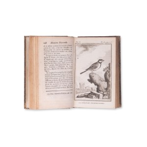BUFFON, Georges Louis Leclerc (1707-1788): (francouzský historik): Histoire naturelle des oiseaux. Svazek X.