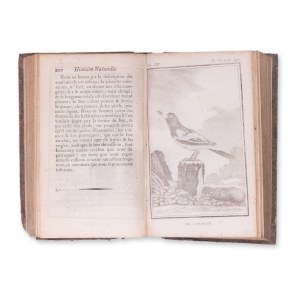 BUFFON, Georges Louis Leclerc (1707-1788): (francouzský historik): Histoire naturelle des oiseaux. Svazek XIII.