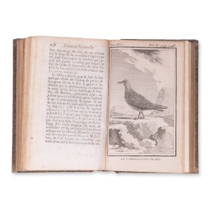 BUFFON, Georges Louis Leclerc (1707-1788): Histoire naturelle des oiseaux. Bd. XVI.