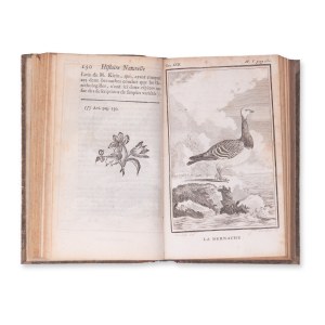 BUFFON, Georges Louis Leclerc (1707-1788): Histoire naturelle des oiseaux. Bd. XVII.