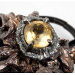 ISABELLA ASTENGO : Collier en corne avec algues argentées
