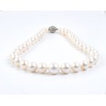 Pearl glass paste gold necklace