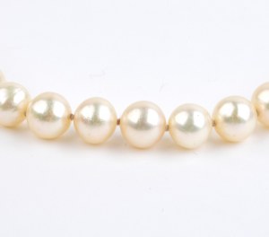 Gold pearl necklace