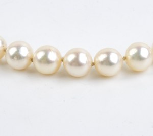 Gold pearl necklace