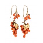 Mediterranean coral gold earrings