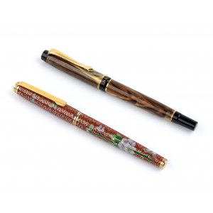 Two fountain pens