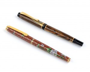 Two fountain pens