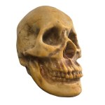 Crâne en pierre sculptée