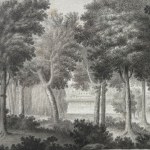 UNIDENTIFIED SIGNATURE, Landscapes