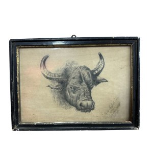 UNIDENTIFIED SIGNATURE, A bull