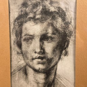 A. DEL SARTO, Portrait d'un jeune homme par Andrea Del Sarto (1486-1531)