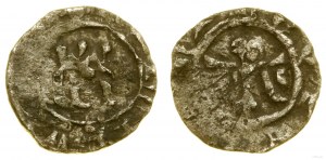 Polonia, denario (imitazione d'epoca)